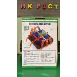 STEM教材︰學者仿生機械運動原理 STEM教材︰學者仿生機械運動原理