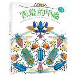 害羞的甲蟲 害羞的甲蟲