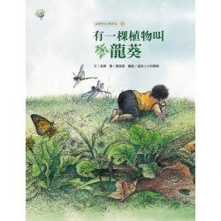 有一棵植物叫龍葵