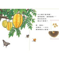 小種子，快長大：水果篇