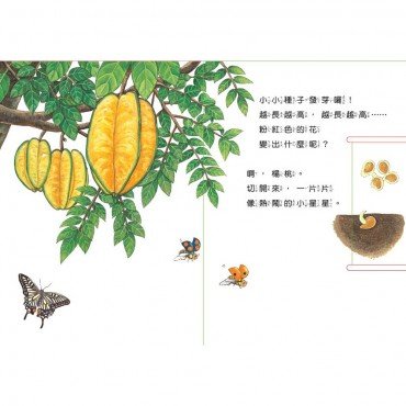 小種子，快長大：水果篇