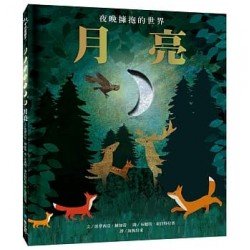 月亮：夜晚擁抱的世界