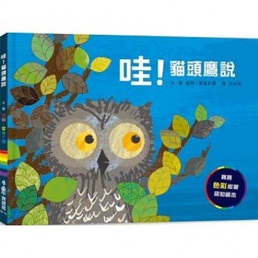 哇！貓頭鷹說