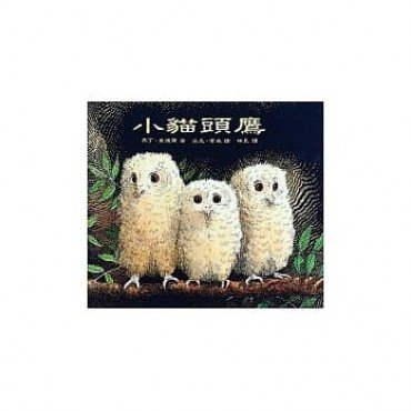 小貓頭鷹
