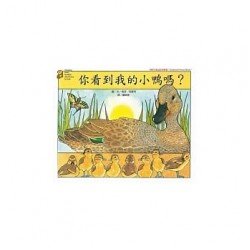 你看到我的小鴨嗎？