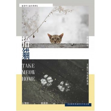 拾貓