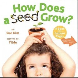 How does a seed grow?