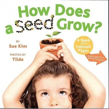 How does a seed grow?
