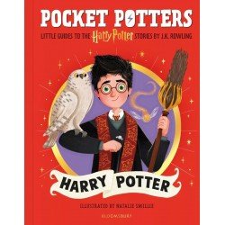 Pocket Potters: Harry Potter (Little Guides to the Harry Potter Books #1)
