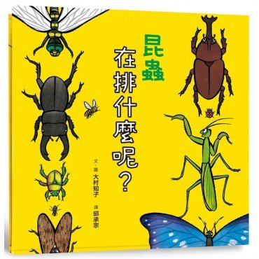 昆蟲在排什麼呢？