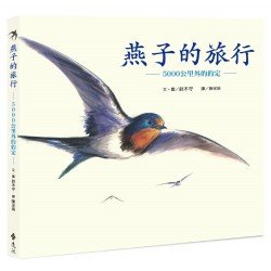 燕子的旅行：5000公里外的約定