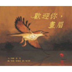 歡迎你，畫眉