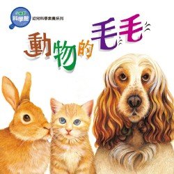 動物的毛毛 動物的毛毛