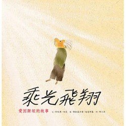 乘光飛翔 愛因斯坦的故事