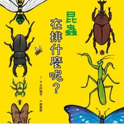 昆蟲在排什麼呢？