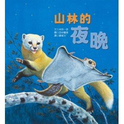 山林的夜晚