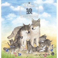 野生動物2：狼