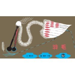 國際安徒生大獎5：羽毛