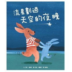 流星劃過天空的夜晚