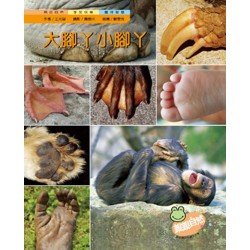大腳丫小腳丫 大腳丫小腳丫