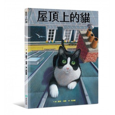 屋頂上的貓