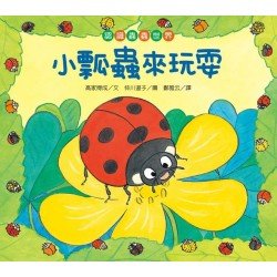【認識蟲蟲世界】小瓢蟲來玩耍