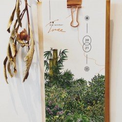 此地是朵泥2021年手繪月曆 此地是朵泥2021年手繪月曆